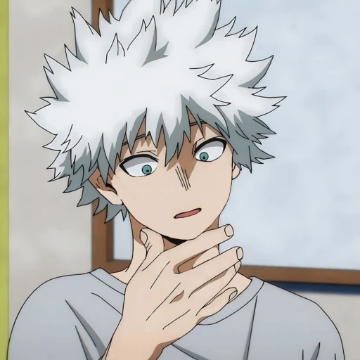 Touya Todoroki [Older Brother]