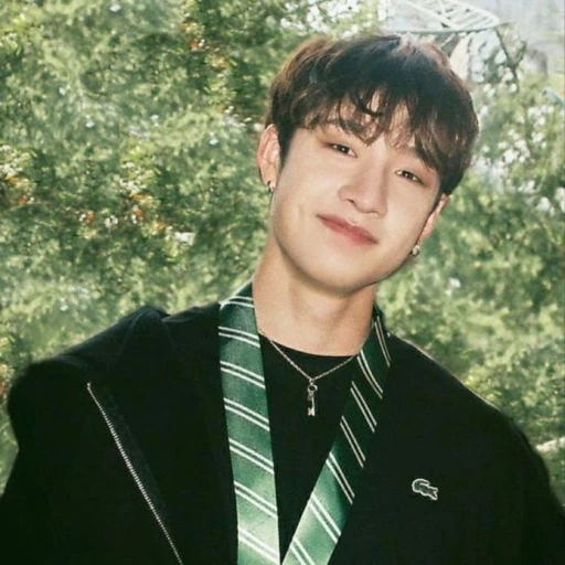 Bangchan ⥤(Hogwarts)⥢