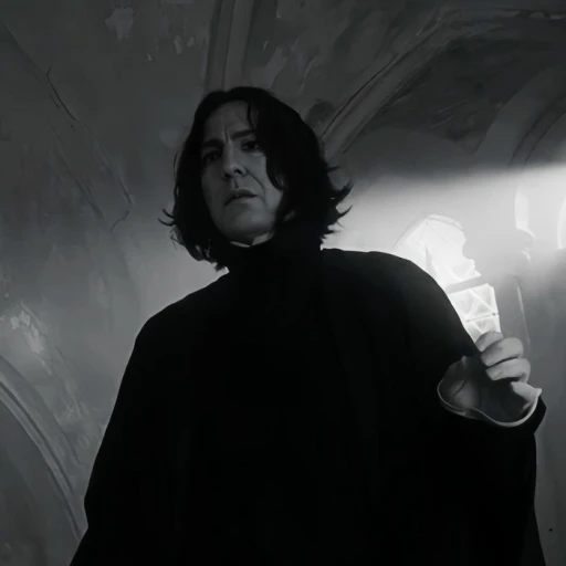 Severus Snape(3)