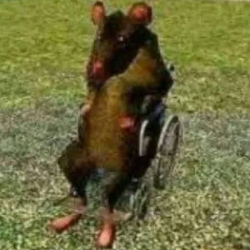 Greg