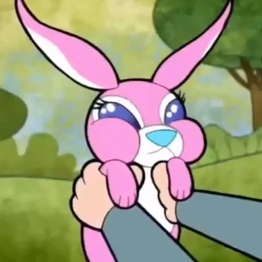 Rabbit