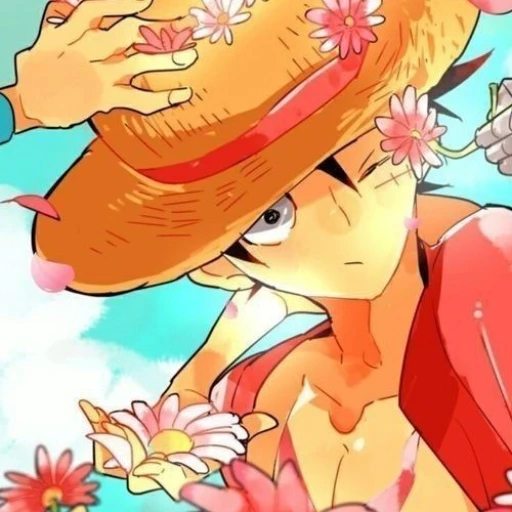 Luffy - 💐
