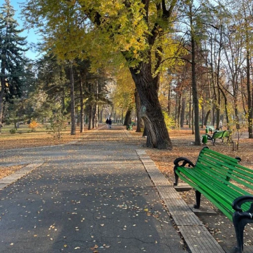 Park