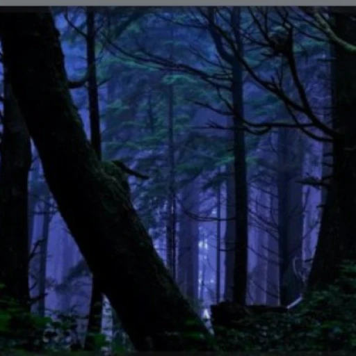 Dark forest