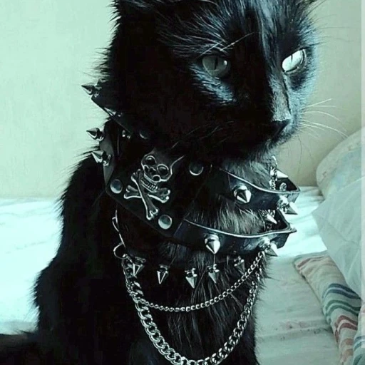 𝐘𝐎𝐔𝐑 𝐁𝐀𝐍𝐃 (rpg?)