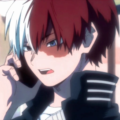 todoroki shoto