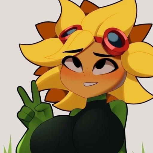 Solar Flare