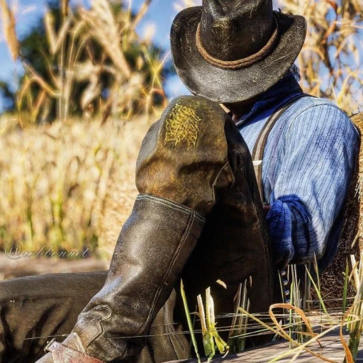 Jackson | Wild West ! BL