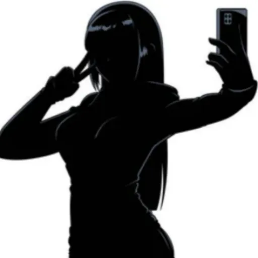 THE PERFECT GIRL