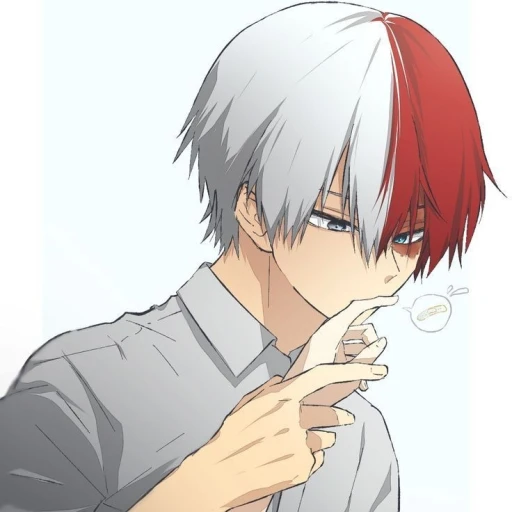 Shoto Todoroki [poet]