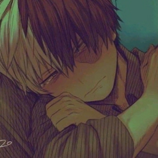Shoto Todoroki •°○.