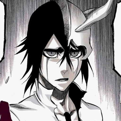 ᡣ𐭩 Ulquiorra Cifer ᡣ𐭩