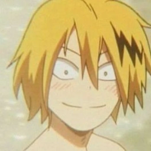 Denki fireplaces