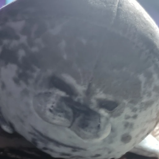 seal
