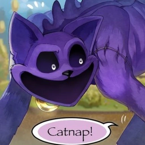 Catnap~•.°