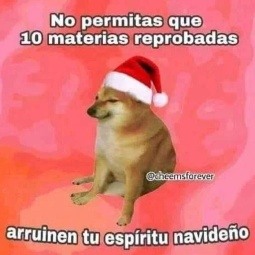 notice xd