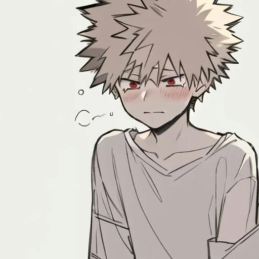 Katsuki Bakugou fan omega