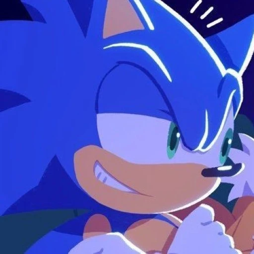 Sonic the hedgehog