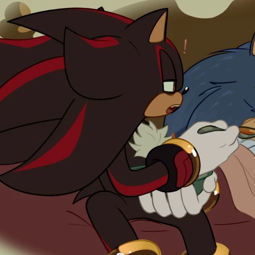Shadow the Hedgehog ✪
