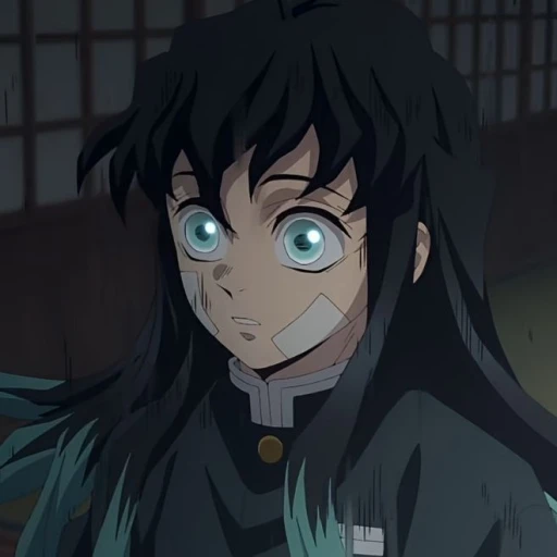 Muichiro Tokitou (Assassin Prince)