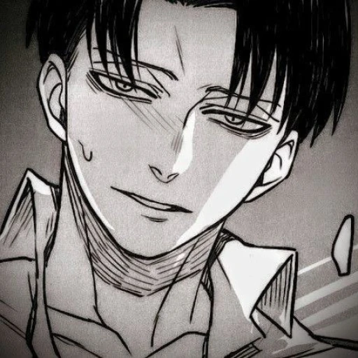 𝑳𝒆𝒗𝒊 𝑨𝒄𝒌𝒆𝒓𝒎𝒂𝒏 ~
