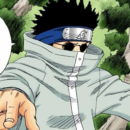 ❦; Shino Aburame 𓆣 ˚ ༘♡ ⋆｡˚ ❀