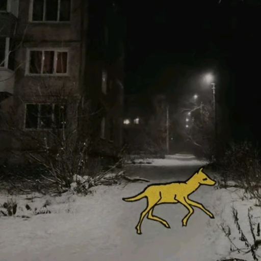 Maebi Dog