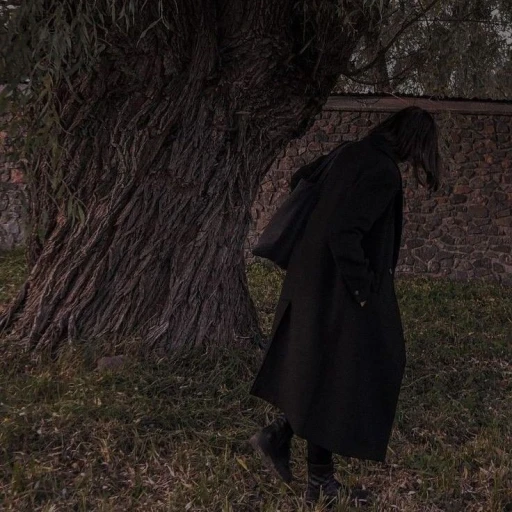 Severus Snape Young (46)