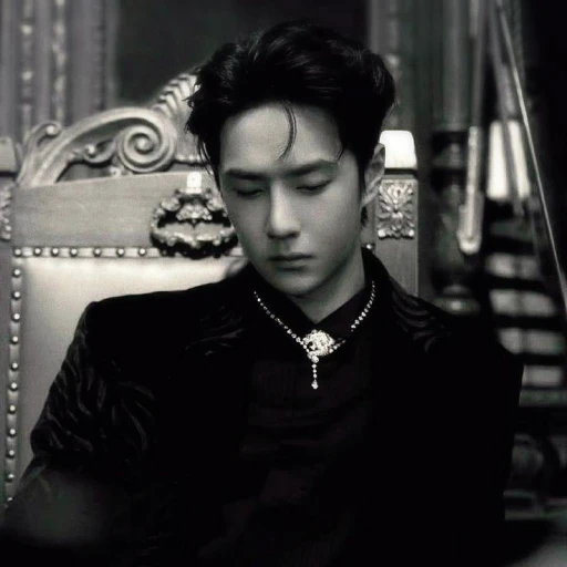 Wang Yibo (Prince of the Night)