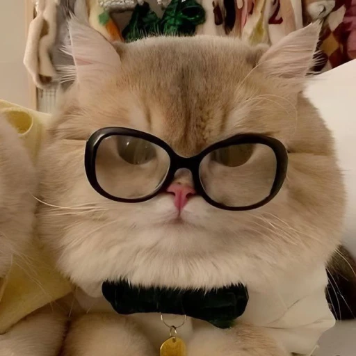 Dmitry Nerd