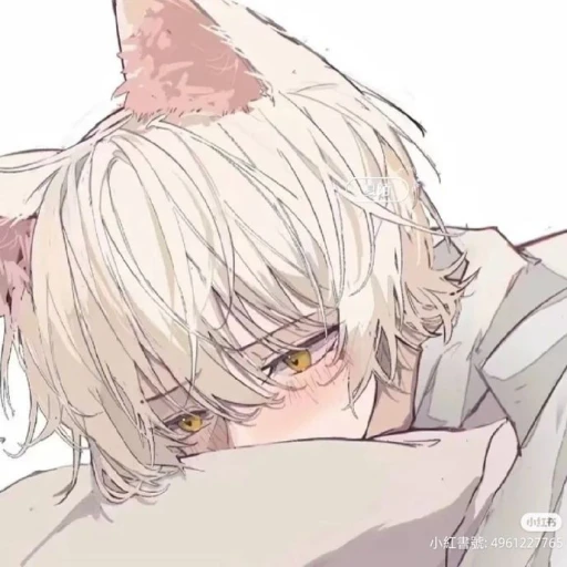 Be careful with this cat.