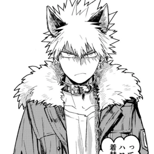 Bakugou Katsuki LOBO