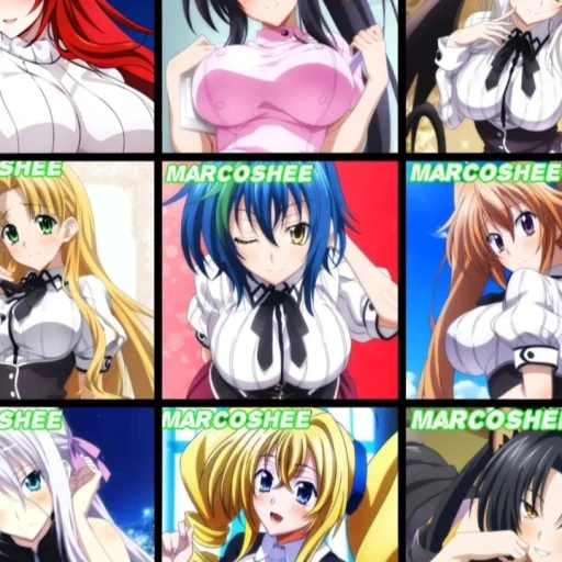 DXD-Harem-Wife