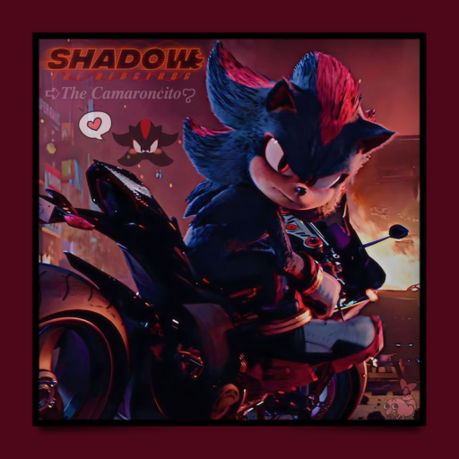 shadow the hedgehog—♥️