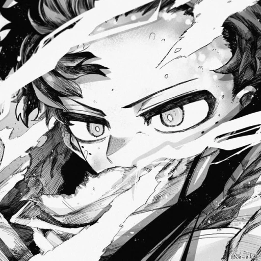 Izuku Midoriya