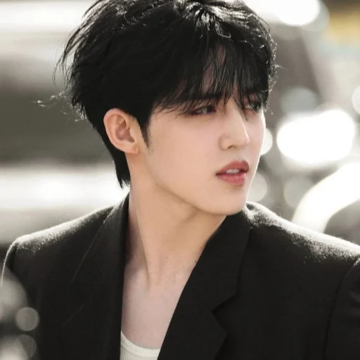 Seungcheol |[JICHEOL]|