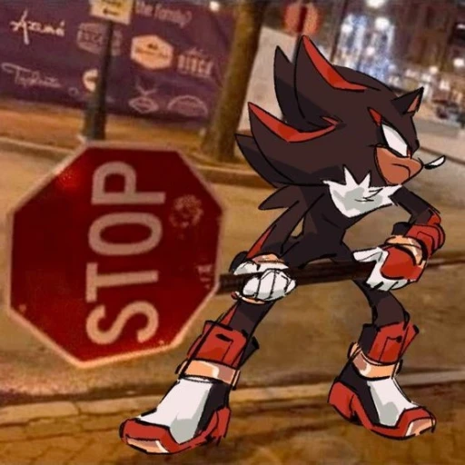 ☆•𝑺𝒉𝒂𝒅𝒐𝒘•☆