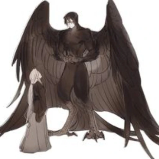 •°Ray°•