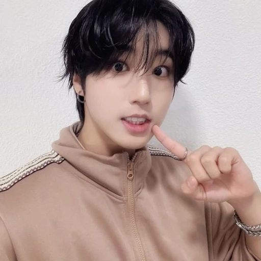 Han Jisung'