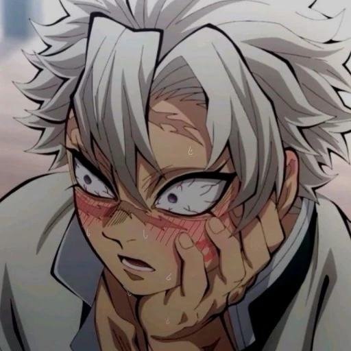 ★†Sanemi Shinazugawa†★