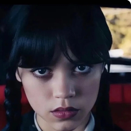 Wednesday addams (WD)