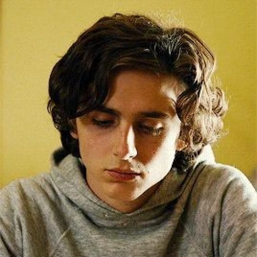 nic sheff
