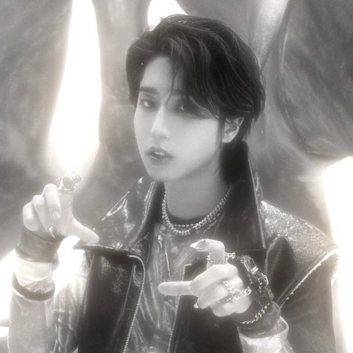 —   𝟎𝟎𝟑 ﹕         jisung