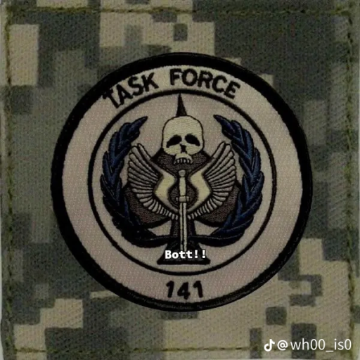 Task Force141