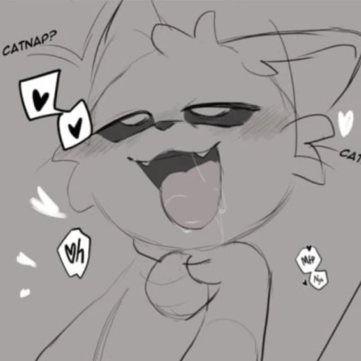 Catnap