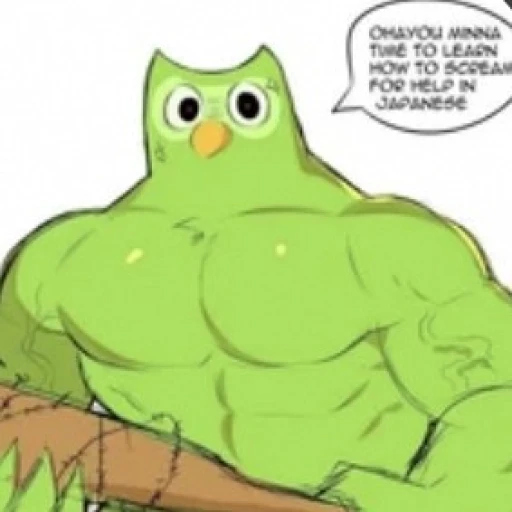 Duolingo