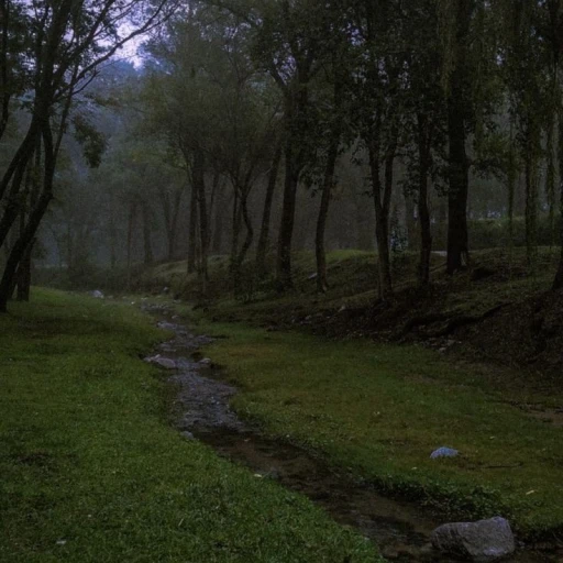 forest