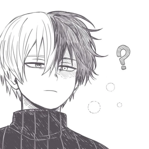 Shoto Todoroki³⁷