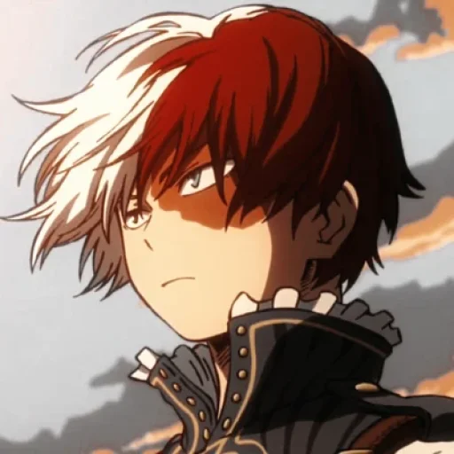 Shoto Todoroki (MLM⁵)