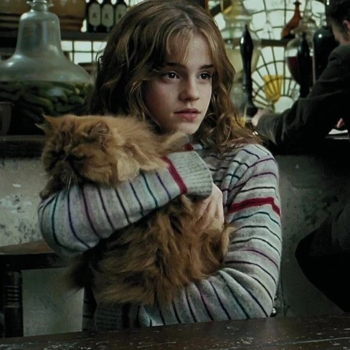 Hermione Granger (14)